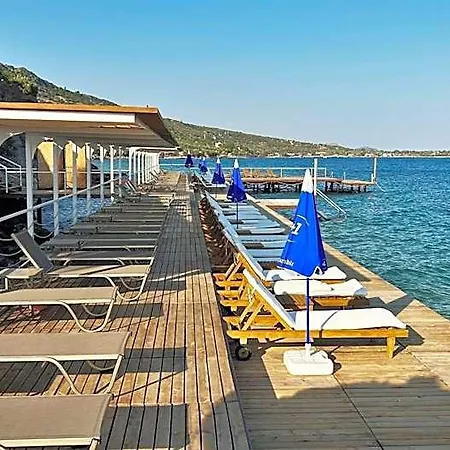 Assos Longevity *
