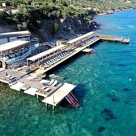Assos Longevity Sokakagzi