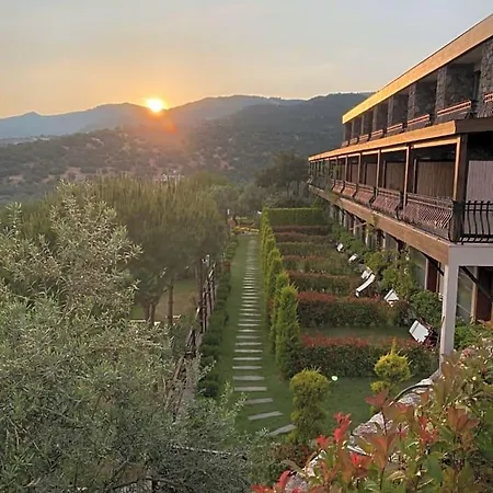 Hotel Assos Longevity *