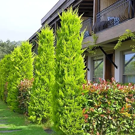 Hotel Assos Longevity *