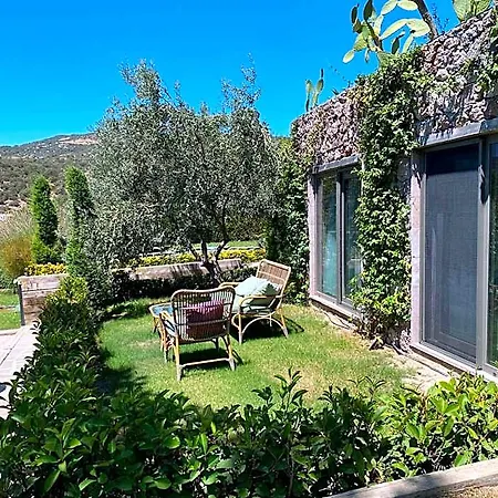 Hotel Assos Longevity